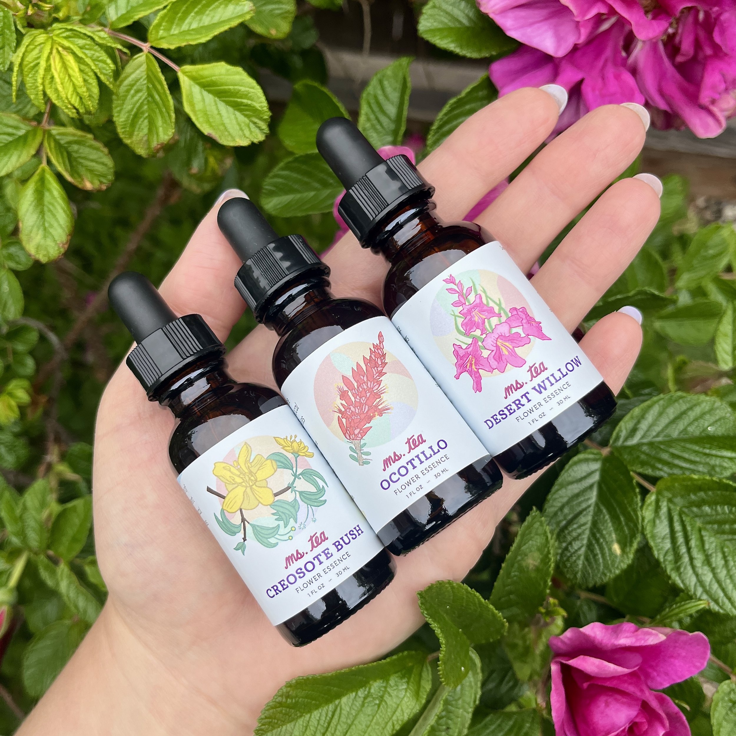 Flower Essence Trio — Ms. Tea